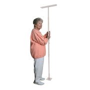 E-Z Assist Pole