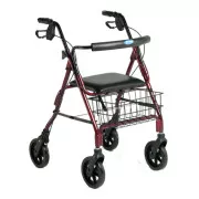 Economy Rollator