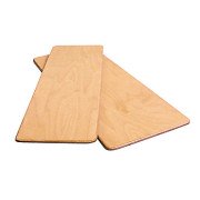Bariatric Transfer Board