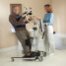 Invacare Reliant Plus 350 Stand-Up Lift with Power Base - Transfer