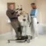 Invacare Reliant Plus 350 Stand-Up Electric Patient Lift - Transfer