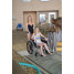 Stainless Steel Aquatic Chair F-18SSWC