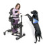 EasyStand Evolv Adult Adult Standing Frame